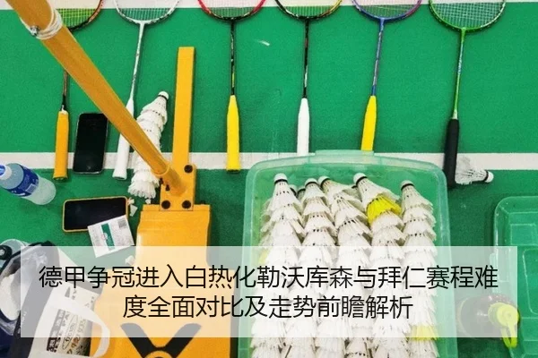 德甲争冠进入白热化勒沃库森与拜仁赛程难度全面对比及走势前瞻解析